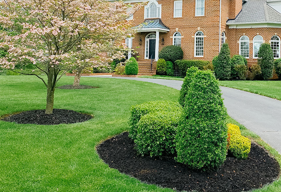 Cedar Mulch Dye - Restore Faded Mulch with Rebark - Premier Finishes Inc.