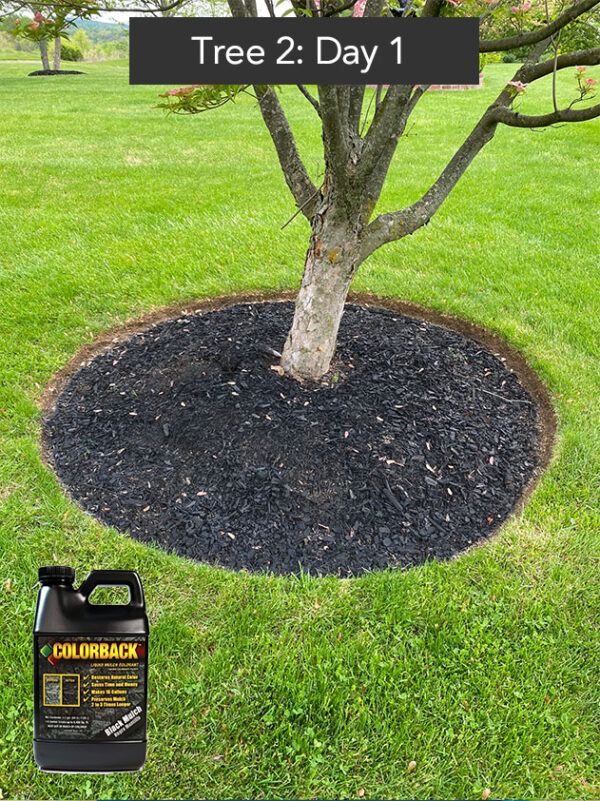 Mulch Dye Does it work? Arched Manor