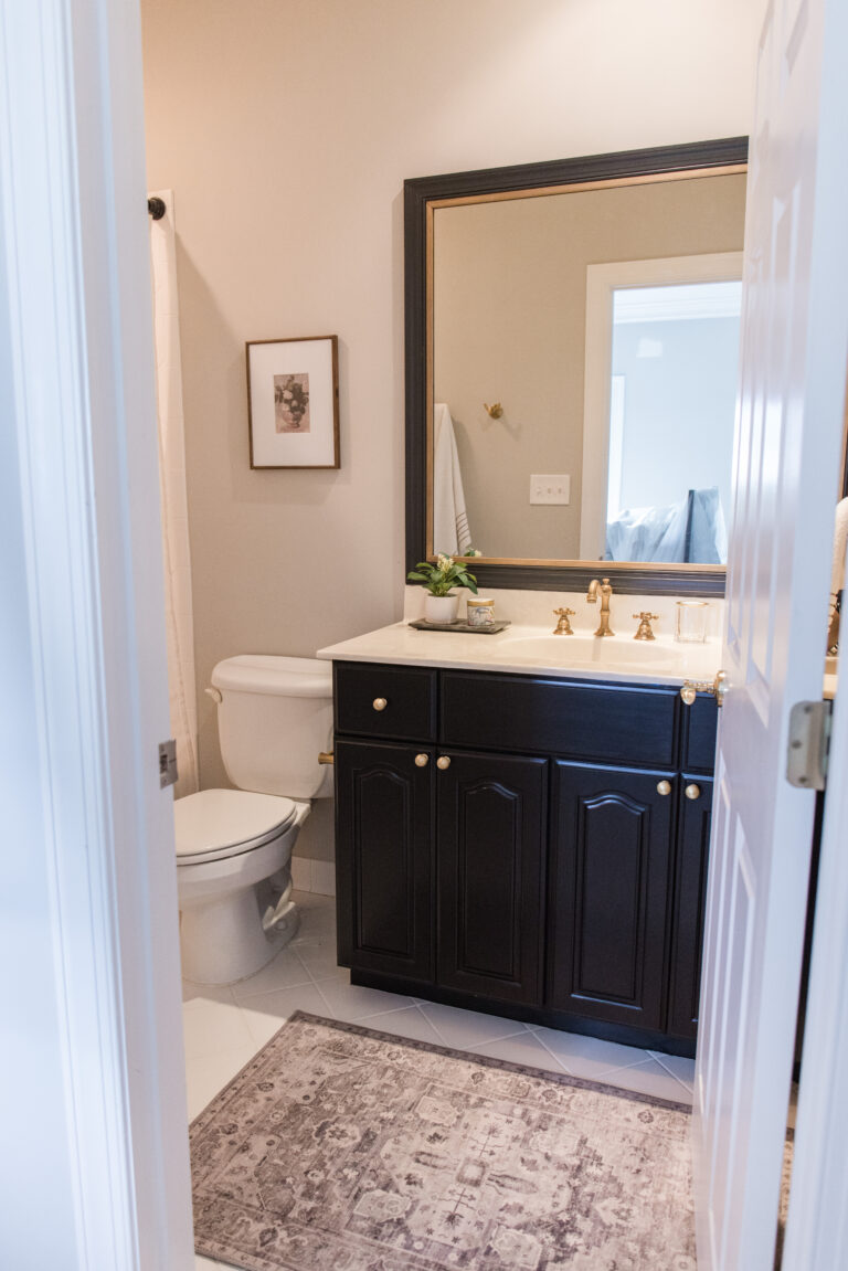 Guest Bathroom-4736